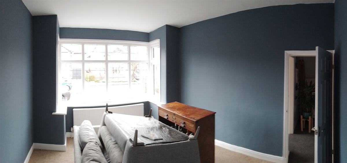 Living room painted deep navy blue with a bay window