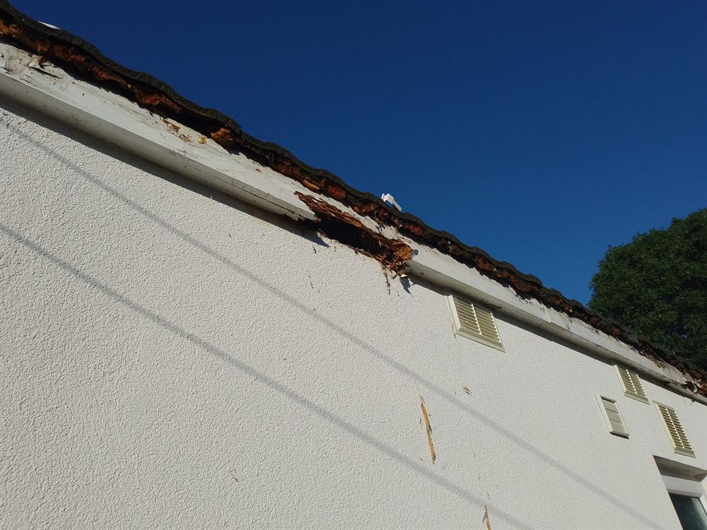 Rotten timber fascia board exposed along the roofline of a rendered house